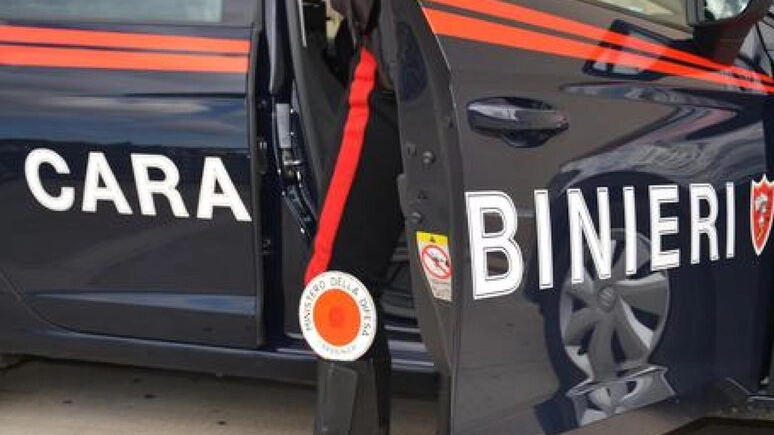 L'intervento dei carabinieri (Foto Ansa)