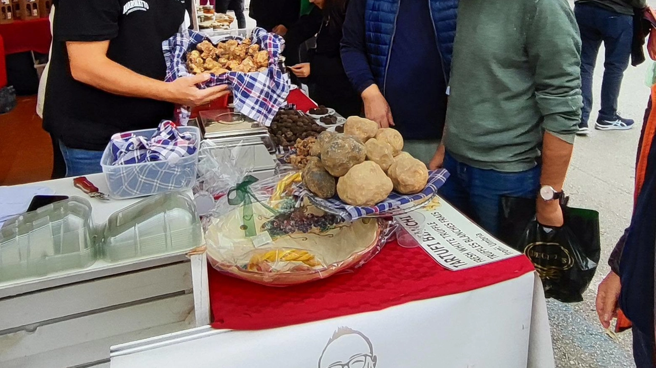 La Mostra del Tartufo torna a riempire di appassionati il centro storico di Gubbio