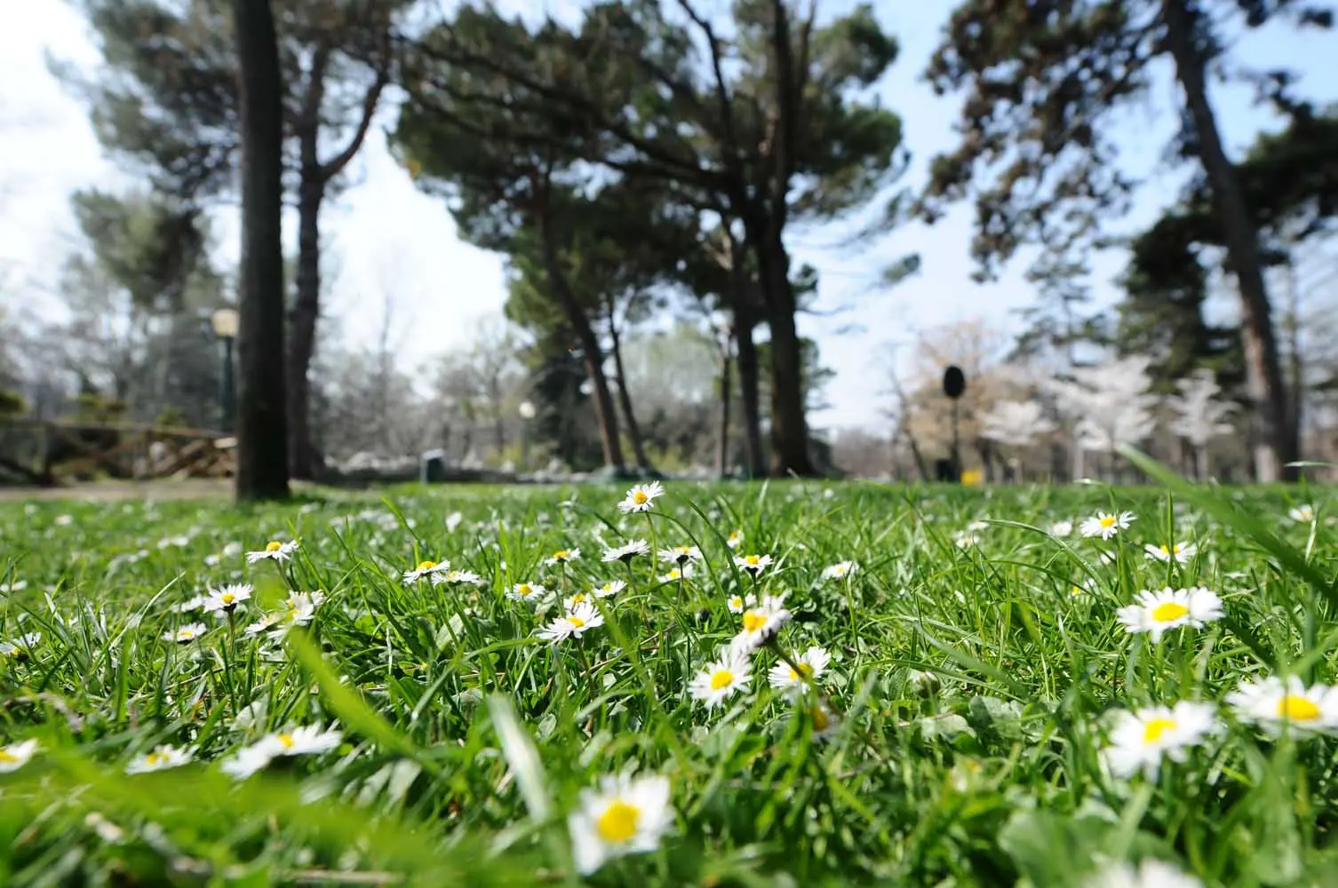 Weekend con nuvole e pioggia, poi sole e temperature primaverili: meteo Toscana, torna l’anticiclone