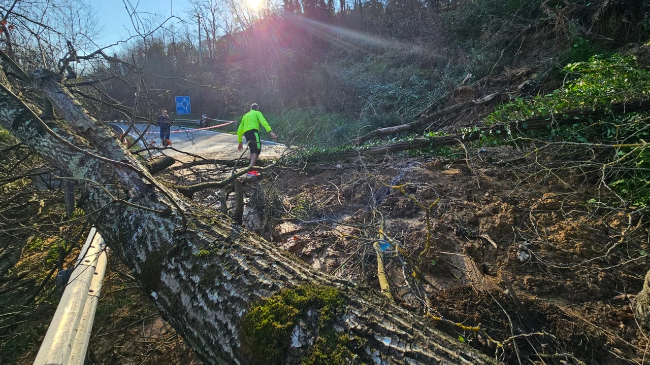 La frana su via Stazione all'incrocio per Poggio alla Malva