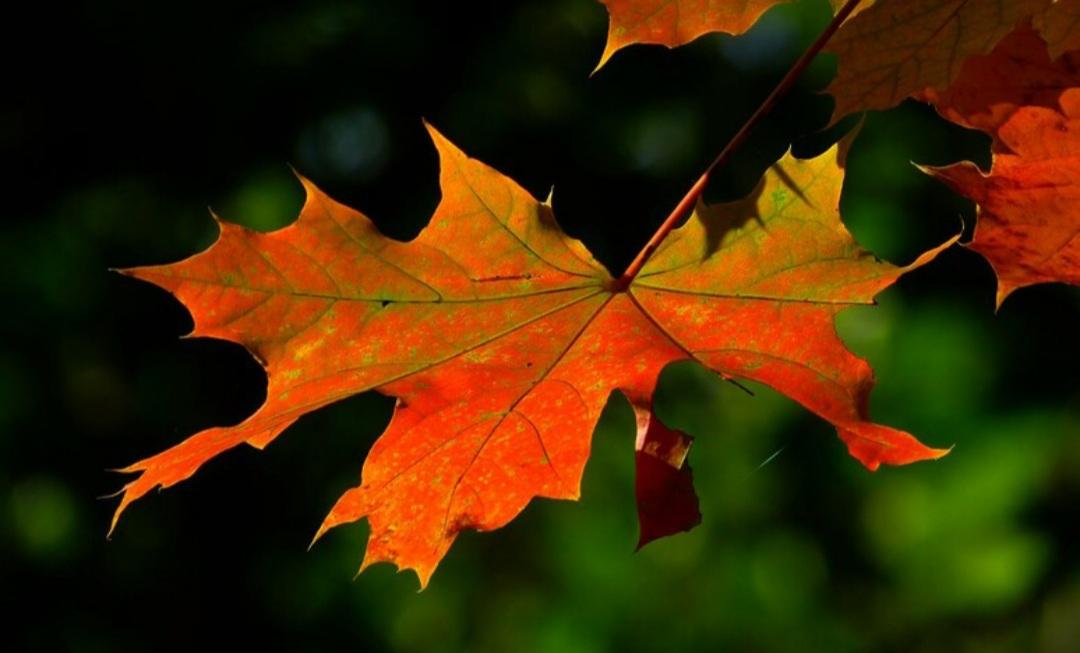 21 settembre, la Toscana accoglie l’autunno. Le date dell’equinozio e del cambio dell’ora