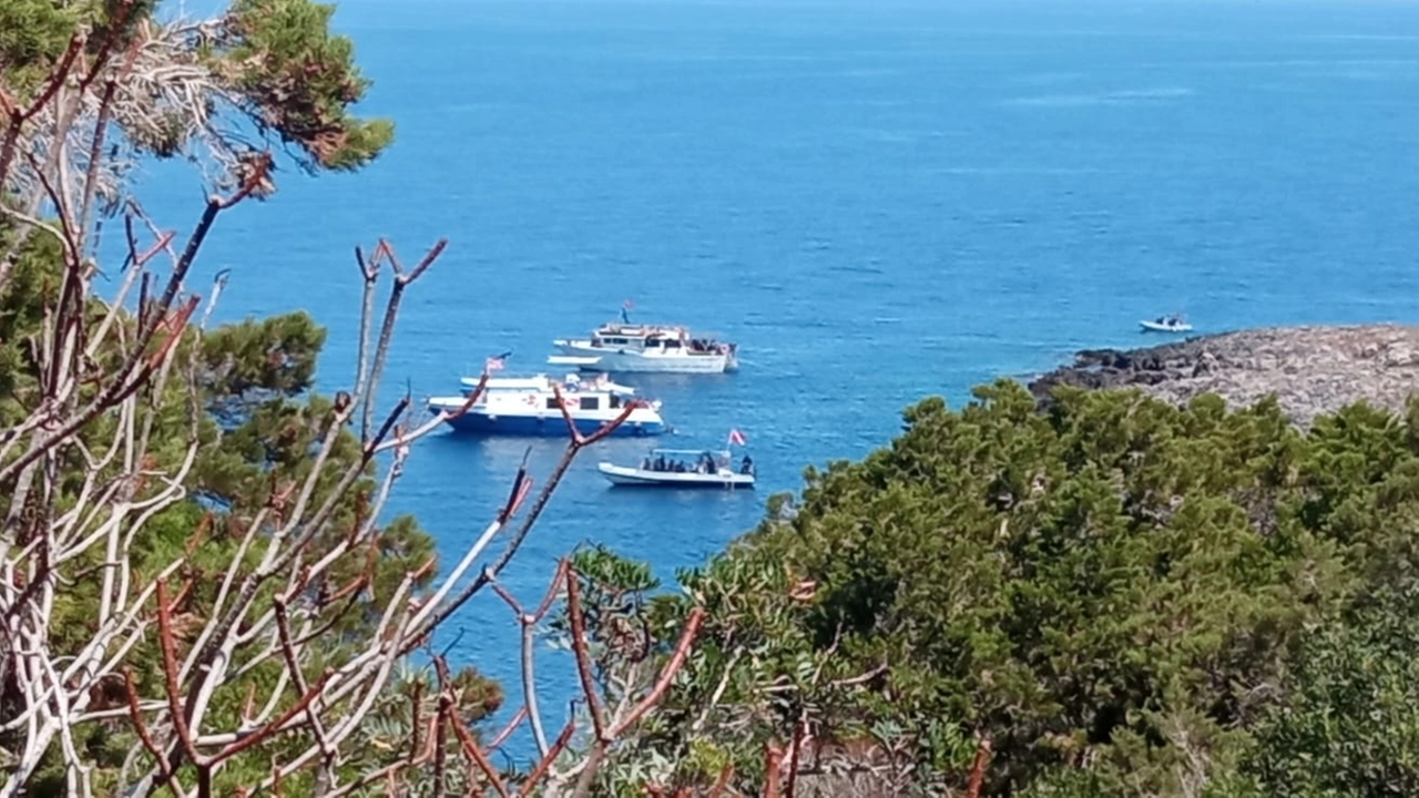 Altre imbarcazioni che vìolano il mare protetto di Giannutri