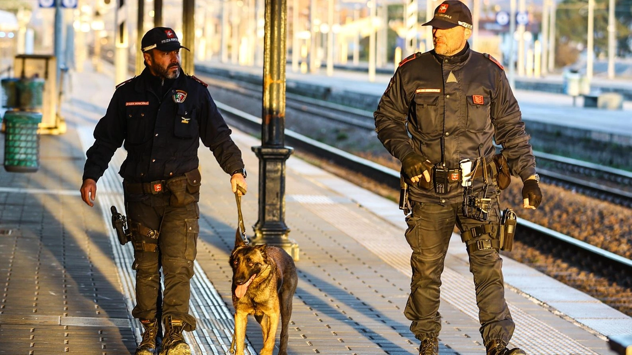 Fratelli d'Italia denuncia il degrado e la pericolosità di diverse aree di Empoli, criticando l'amministrazione comunale per la mancanza di azioni concrete sulla sicurezza. Le promesse di servizi notturni si rivelano solo pubblicità, mentre i cittadini lamentano la persistenza dei problemi legati allo spaccio.