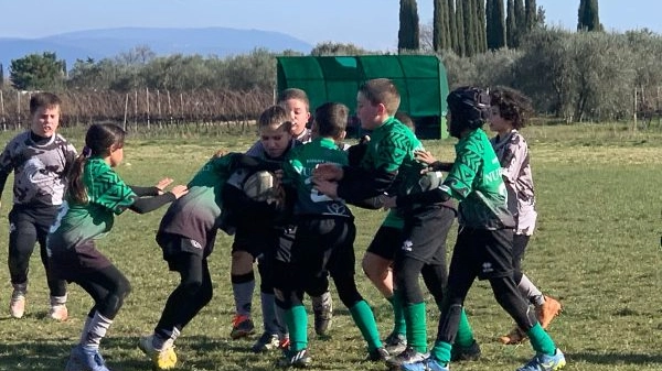 Gli impegni del Rugby Mammut