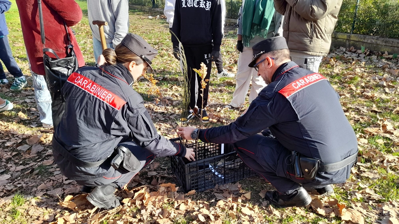 In occasione della 'Giornata nazionale degli alberi' l'attività dei forestali spezzini e dei militari del Parco 'Cinque Terre'