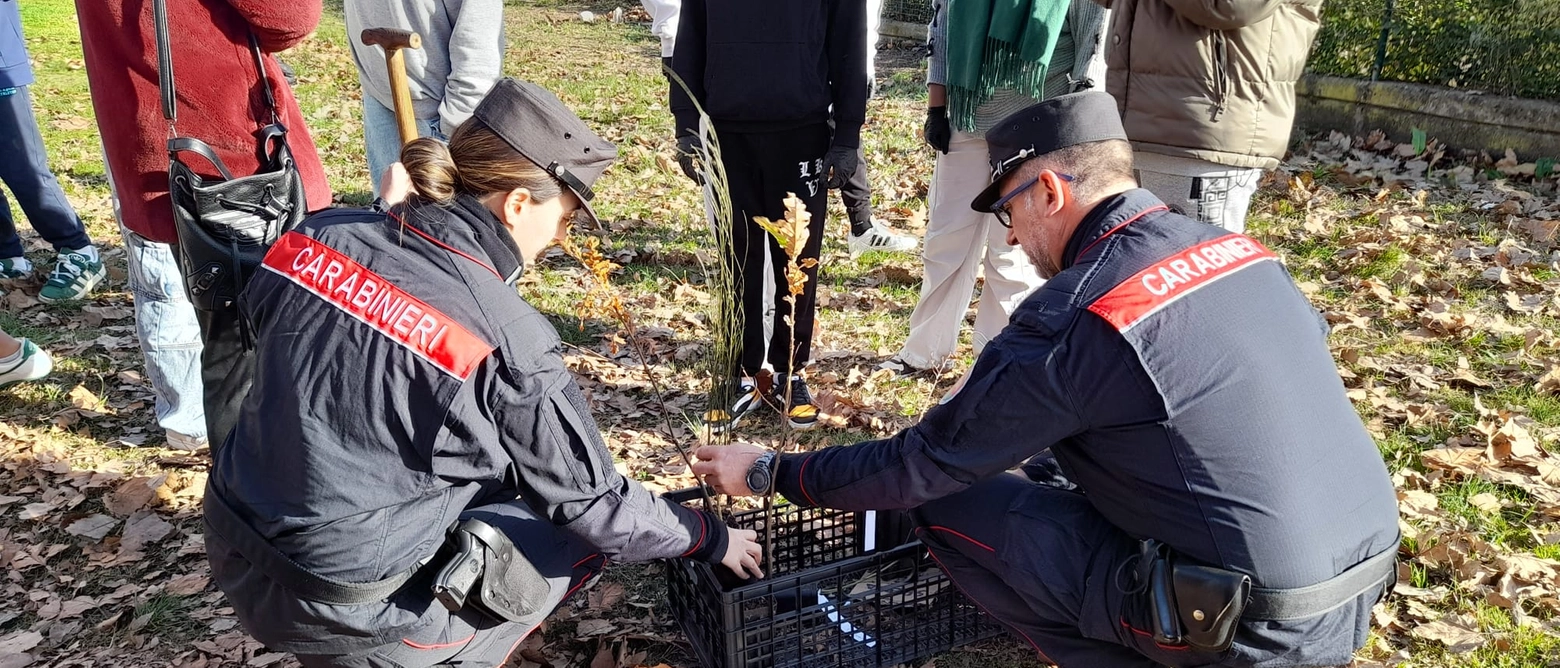 In occasione della 'Giornata nazionale degli alberi' l'attività dei forestali spezzini e dei militari del Parco 'Cinque Terre'