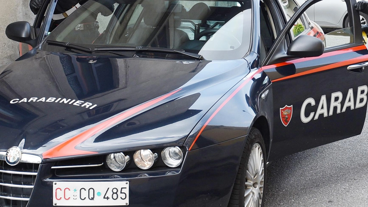 Il sindaco Bartoli dopo l’ultima segnalazione si è rivolto ai carabinieri (foto archivio)