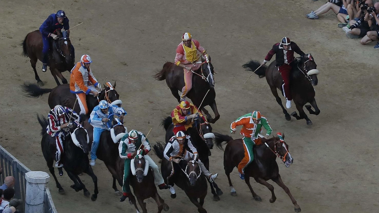 Un momento della partenza del Palio dell’Assunta che è poi stato vinto da Velluto su Benitos nella Lupa. I comportamenti scorretti per Giordano sono avvenuti fra i canapi