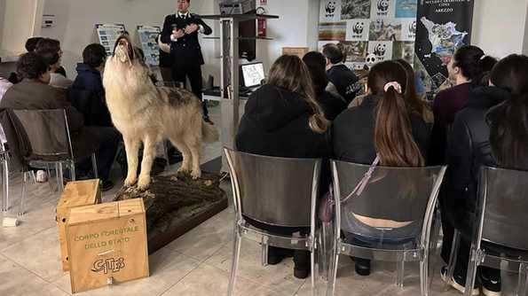 Gli studenti del Liceo di Orbetello nei giorni scorsi impegnati in lezioni sull’oasi del Wwf