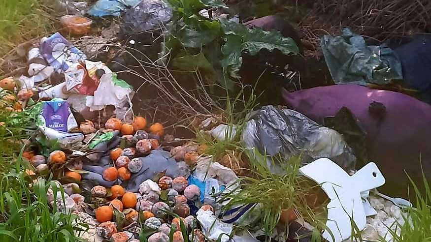 Discarica e odore insopportabile. Via Toscanini, rifiuti nella scarpata