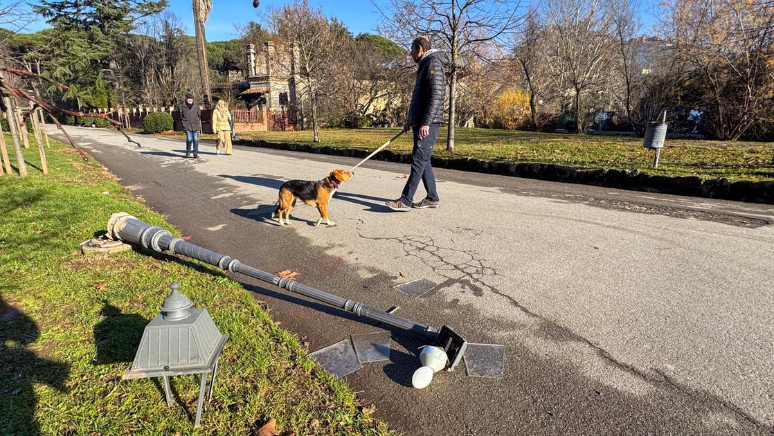 La lotta al degrado in pineta. “Un biglietto per tutelarla”. “No, più controlli e telecamere”