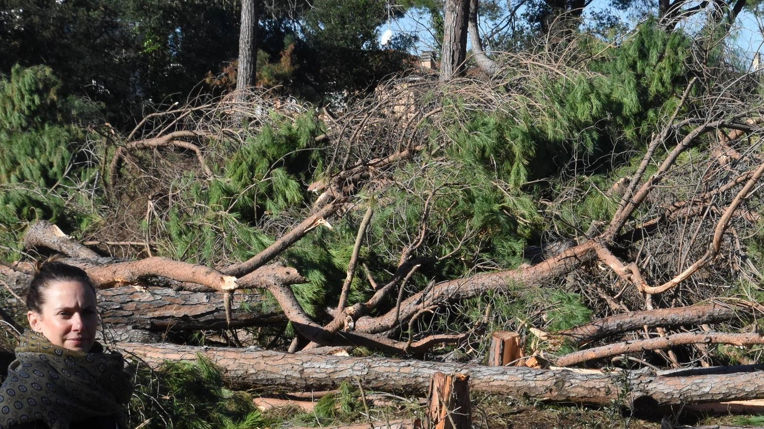 La rinascita del parco. Il piano per via Zara. Un bosco di latifoglie con il cuore di Pineta