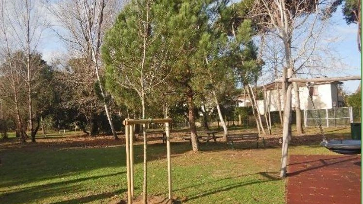 E’ stato rigenerato Il Parco «Radici Mediterranee» di Forte dei Marmi con la piantumazione di duecento nuovi esemplari di alberi