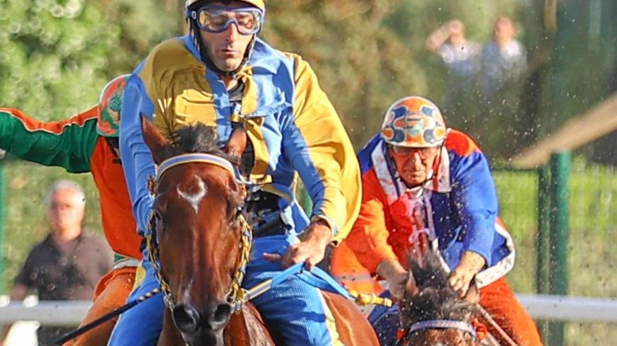 Associazione Palio. Cannella resta al timone