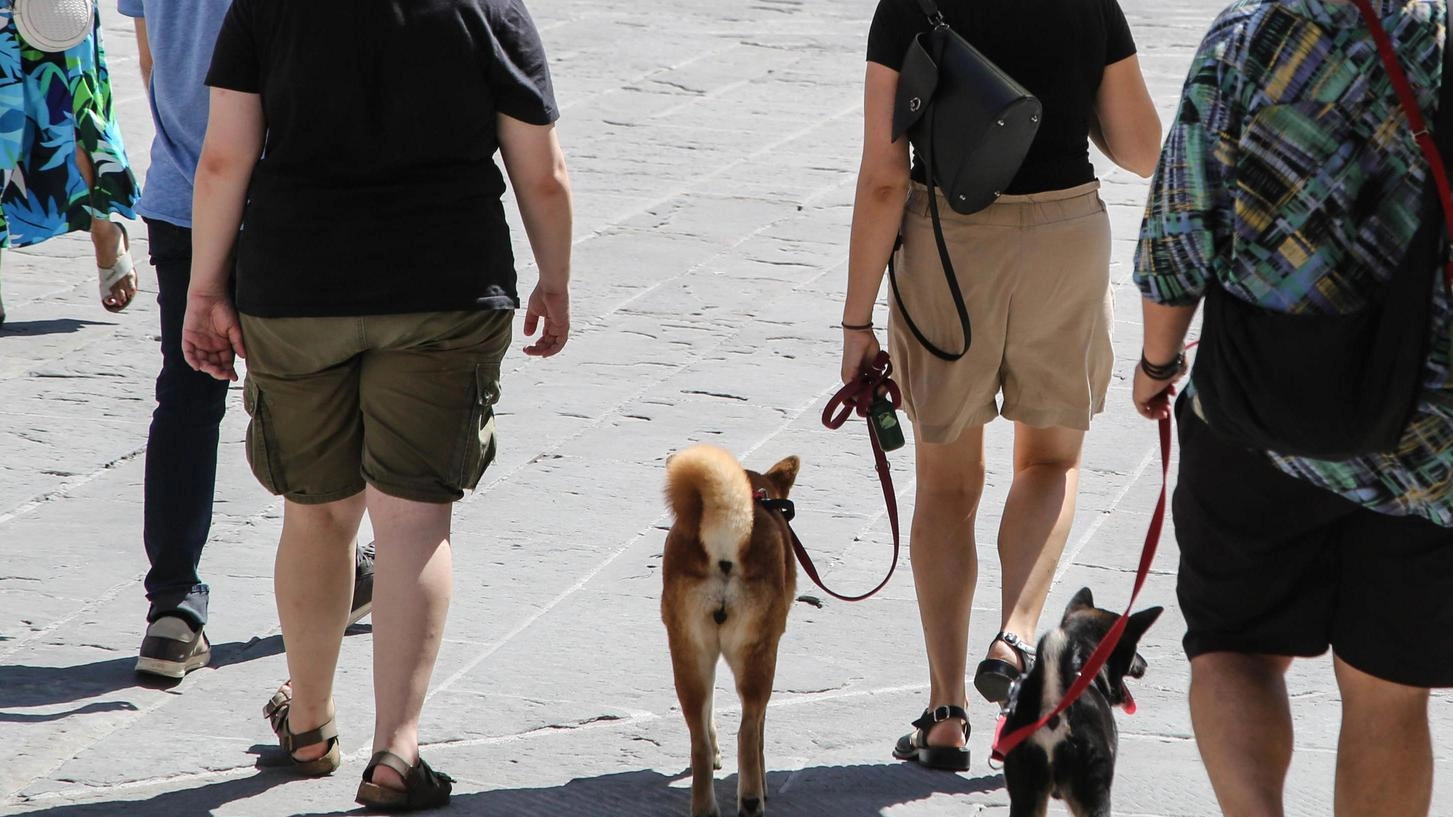 Il clima impazzito . L’agosto terribile in Umbria. Quasi cento morti in più