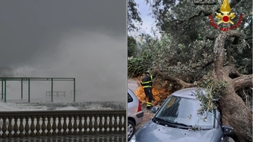 Maltempo in Toscana, vento fortissimo sulla costa: oltre 100 km orari, alberi caduti. Zone a rischio