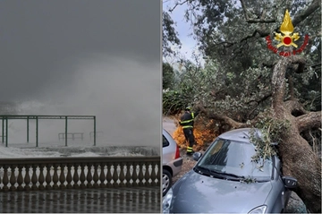 Maltempo in Toscana, vento fortissimo sulla costa: oltre 100 km orari, alberi caduti. Zone a rischio