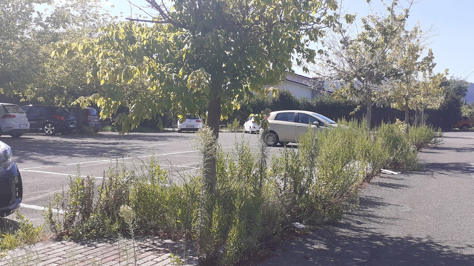 L’area verde del condominio via Sarzanello: i residenti protestano e chiedono ascolto