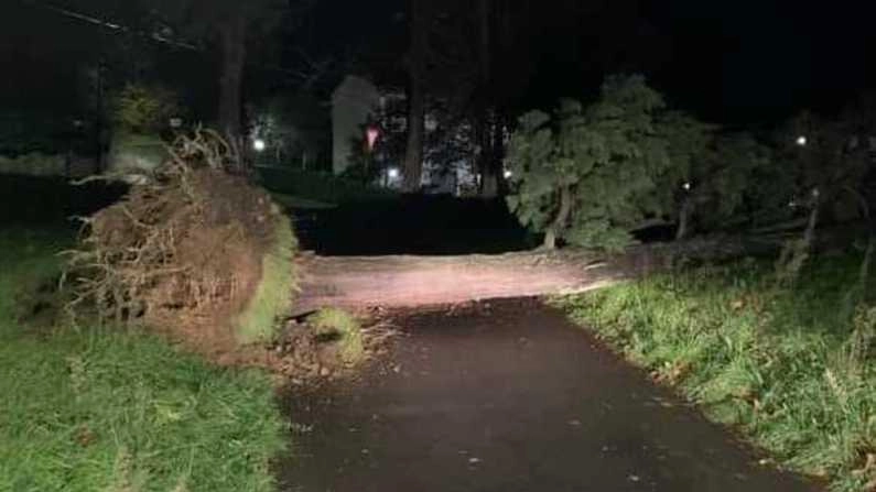 Alberi caduti e smottamenti. La Val di Bisenzio vive in allerta. E molte case restano senza luce