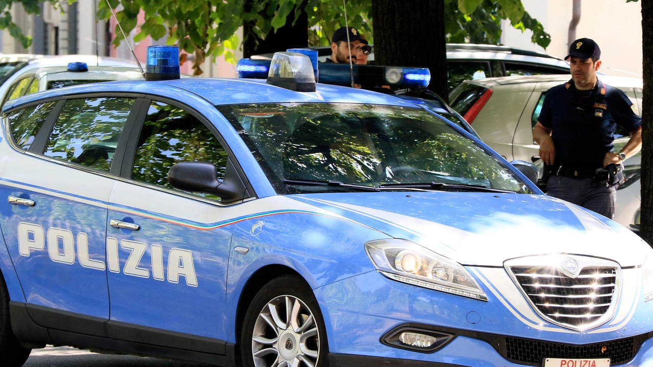 Un'auto della polizia. Per la donna ci sono stati momenti di paura, ma è riuscita a reagire mettendo il ladro in fuga