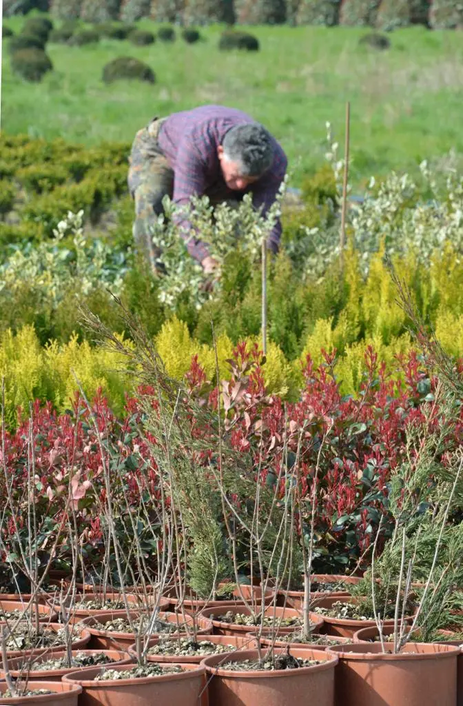 Pesticidi e salute. Riparte il progetto Asl per monitorare le acque nei territori dei vivai