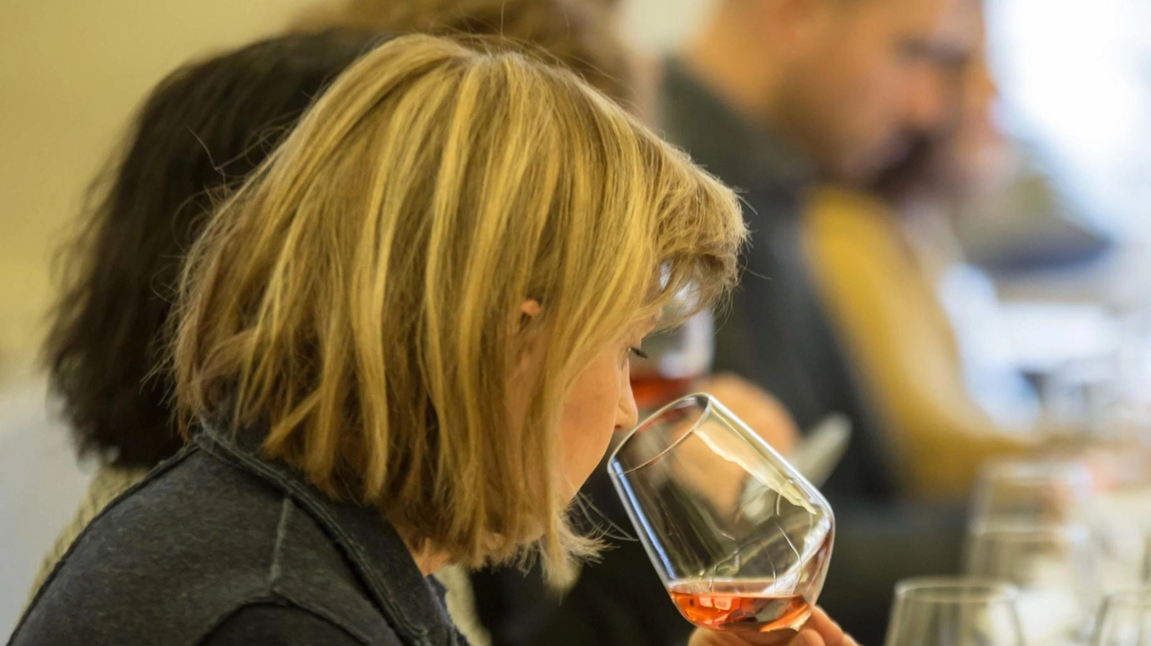 "AsSaggi di Vino" domani incontra la geologia, aspettando Wine&Siena. Ancora due date nel mese di gennaio per degustare i...