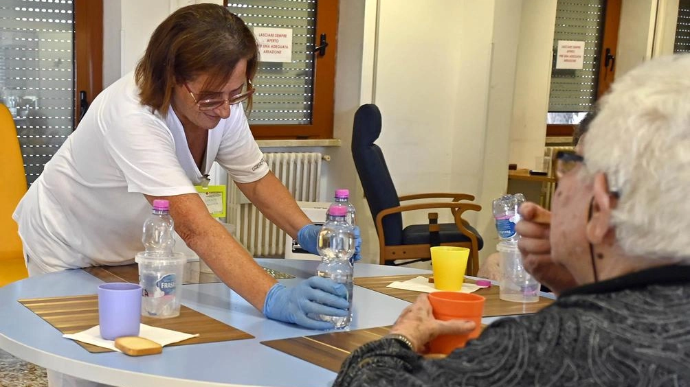 L’occupazione impenna. Più contratti a termine. In testa servizi e badanti. Cresce l’agricoltura