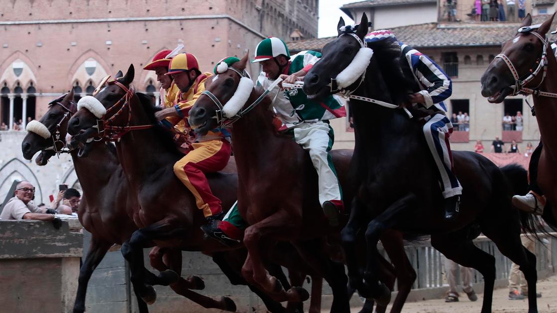 Palio di Siena 17 agosto 2024 vincitore chi ha vinto la Carriera di