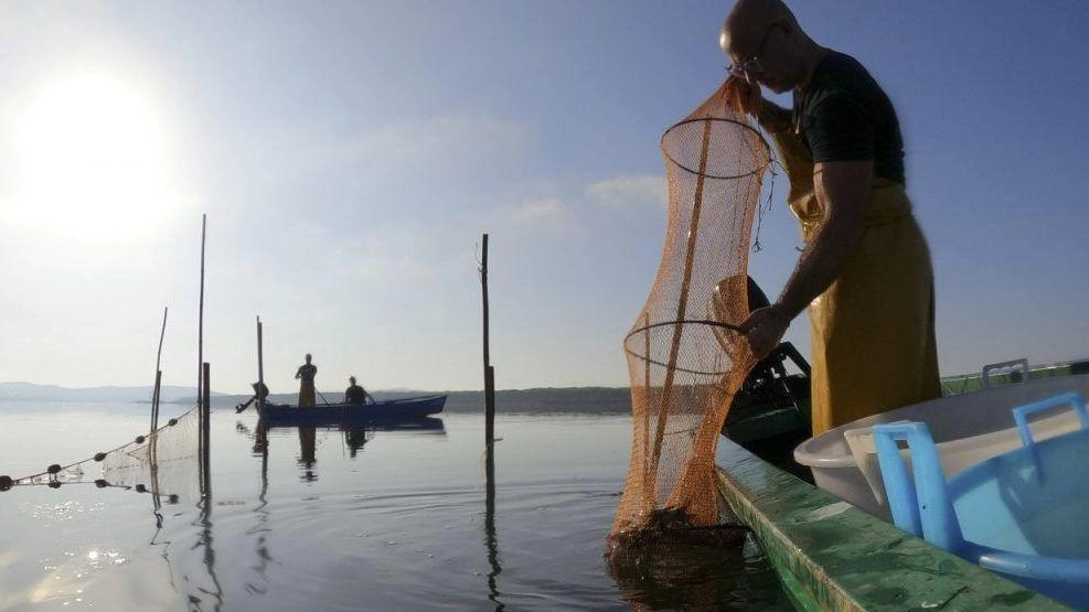 Il futuro della laguna. Il Consorzio è quasi realtà. Ecco ruoli e funzioni