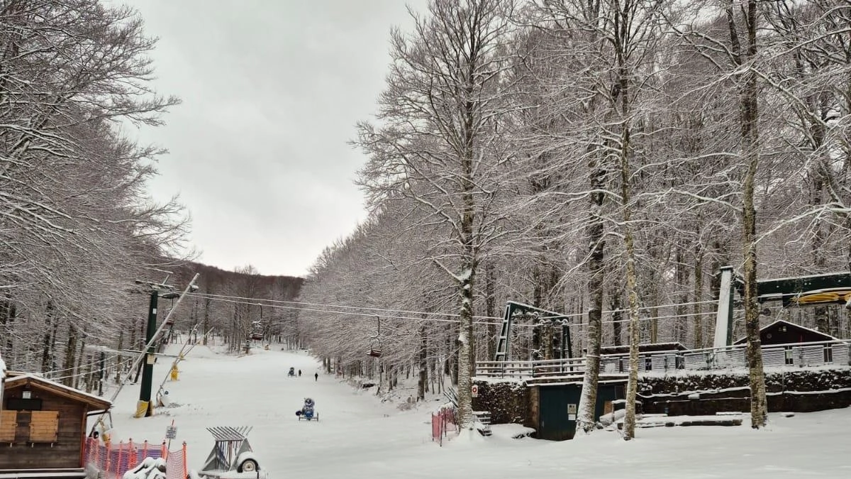 E’ caduta poca neve ma quando c’è umidità e in condizioni di basse temperature si congela ed ecco i «frati bianchi»