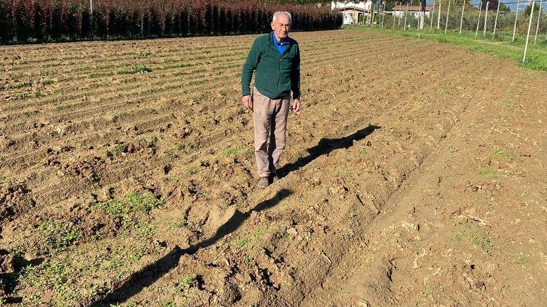 L’imprenditore Osvaldo Panconi è stato anche lui recentemente vittima dei ladri che hanno saccheggiato il suo vivaio (foto di repertorio)