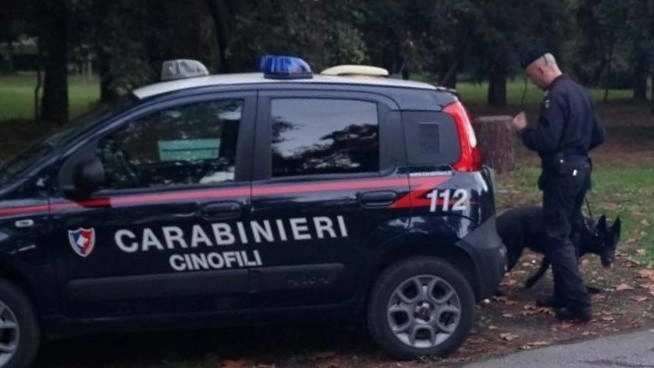 In auto con roncola e pugnale. Denunciato dai Carabinieri