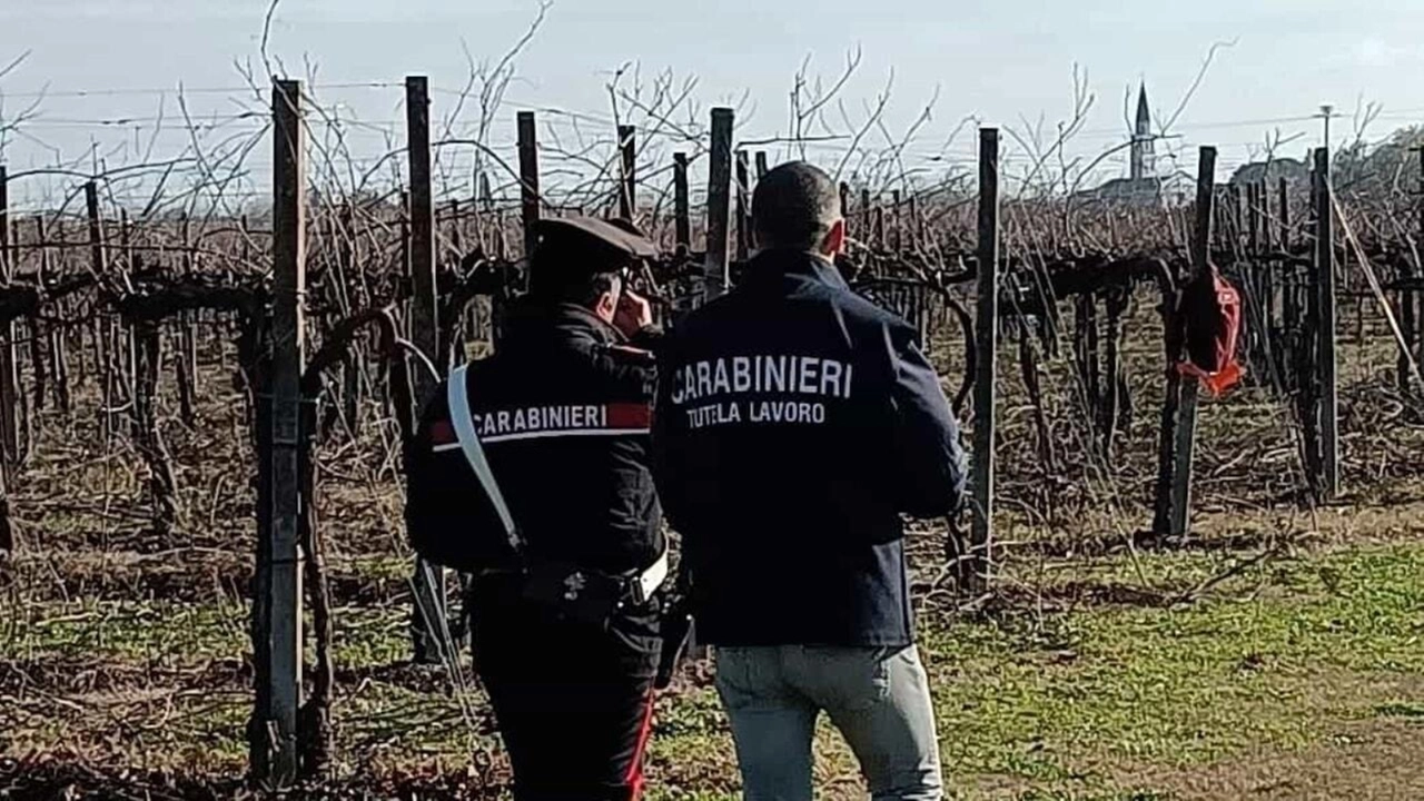 L'inchiesta dei carabinieri