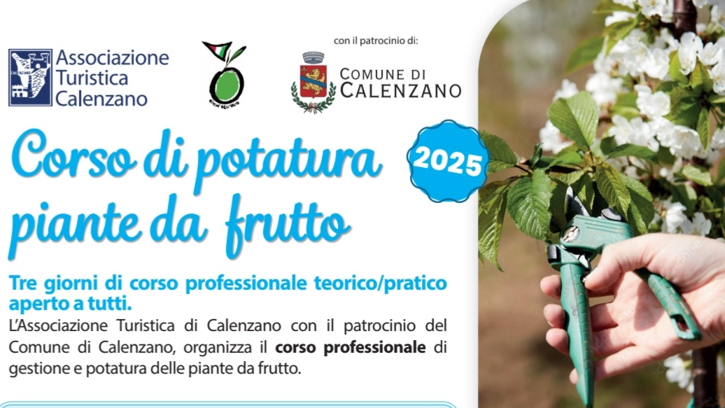 Calenzano, due corsi per la gestione e potatura di olivi e alberi da frutto