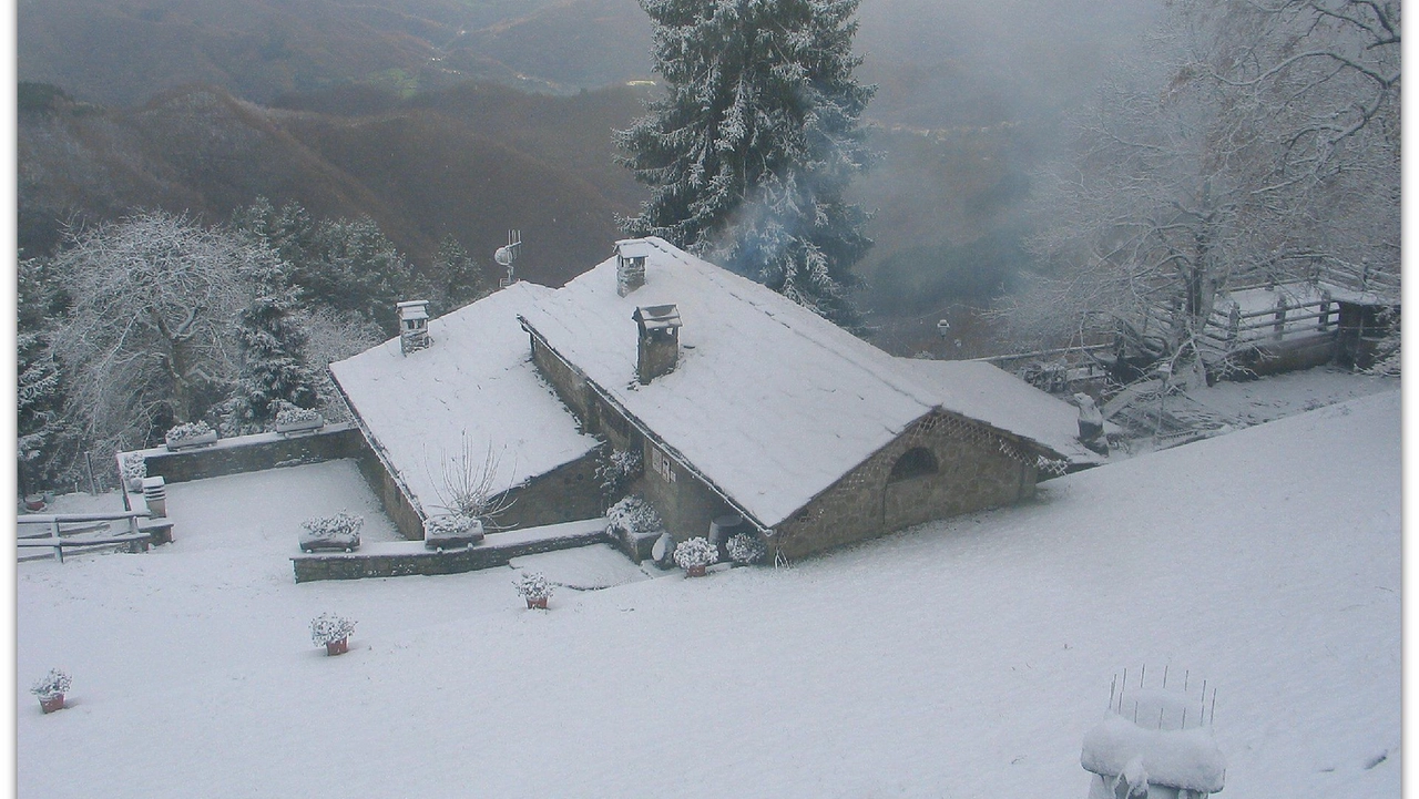 Poggio di Petto (Vernio, 1100 metri) (Foto webcam valbisenziometeo)