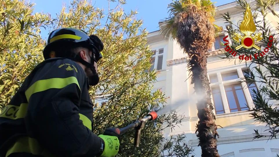 Terni, a fuoco una palma davanti alla scuola. Ipsia evacuato