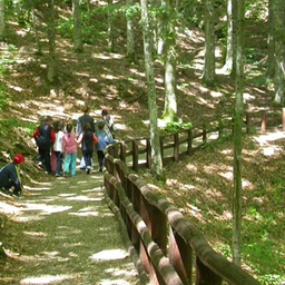 Terranuova Bracciolini, ripartono le visite guidate gratuite alla riserva di Bandella