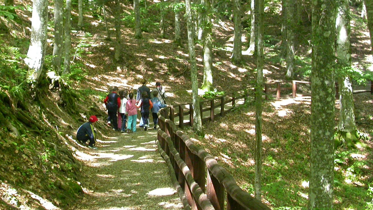 Terranuova Bracciolini, ripartono le visite guidate gratuite alla riserva di Bandella