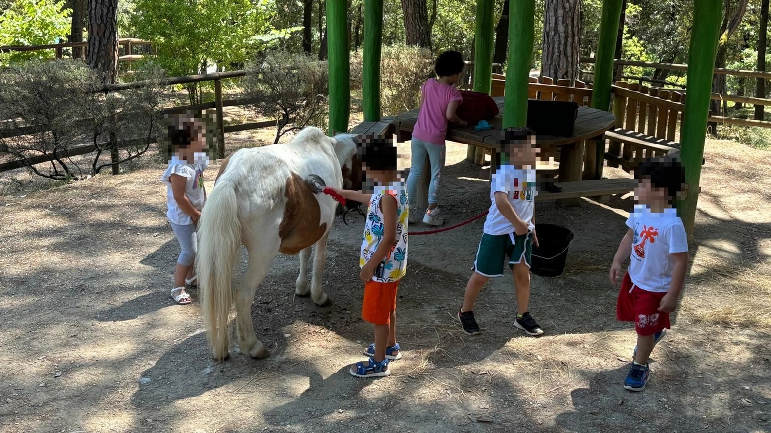 Un pony per amico