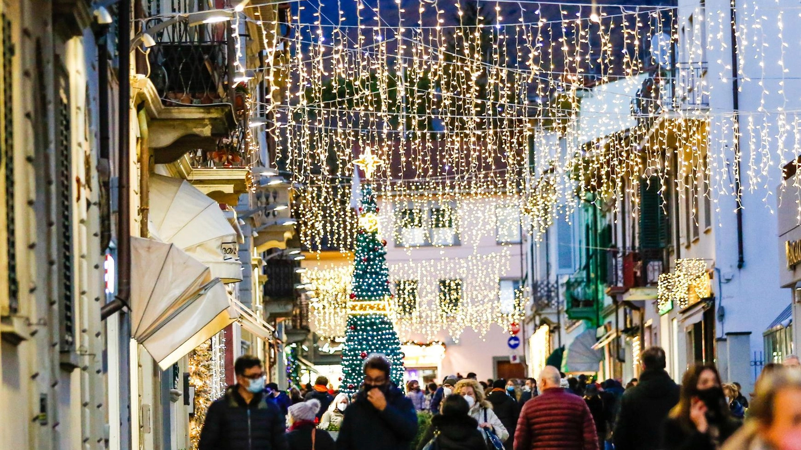 L’albero in piazza accende il Natale. Incontri e giochi: un mese di eventi