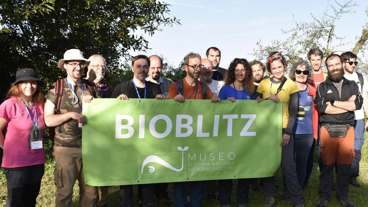 Siena capitale della biodiversità. Ai vertici nella sfida tra città in Italia. Maratona nella Valle di Follonica