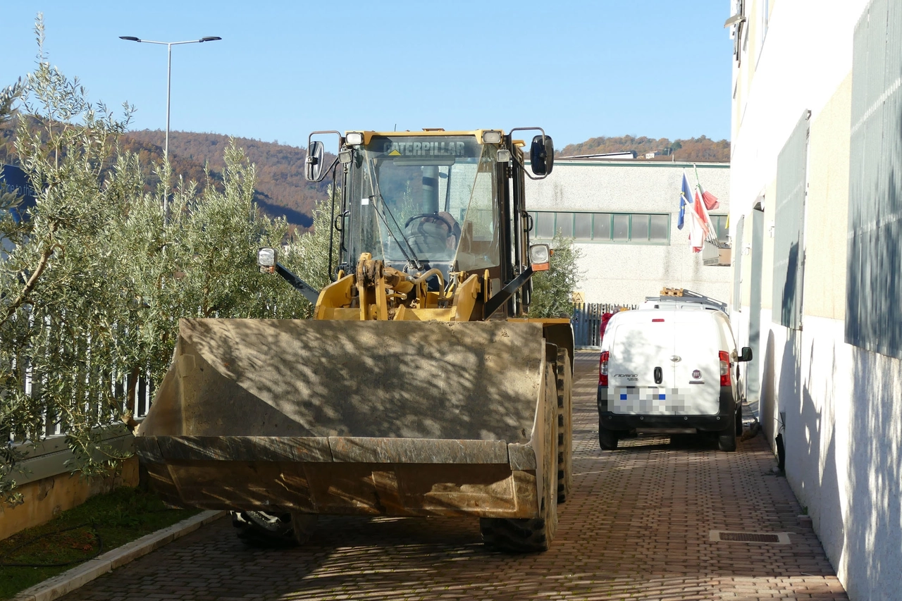 AREZZO FURTO ALLA DITTA CROMA CATENE