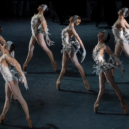 Maggio Fiorentino, tre serate dedicate al balletto: va in scena Lac da ‘Il lago dei cigni’