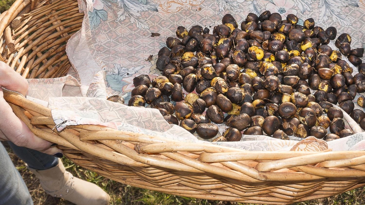 Mondinata in piazza. L’atteso appuntamento oggi in San Francesco