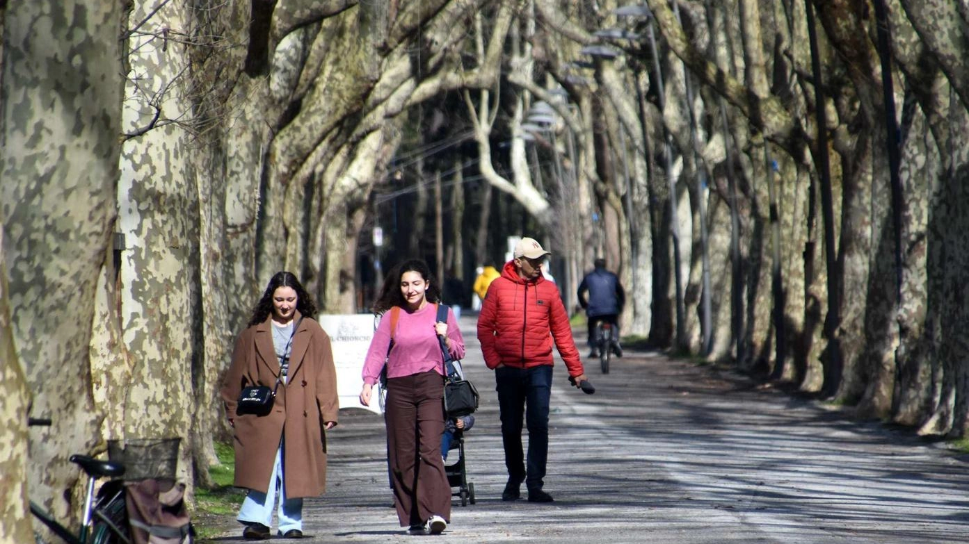 Costruire i parchi del futuro. Con piante amiche delle api