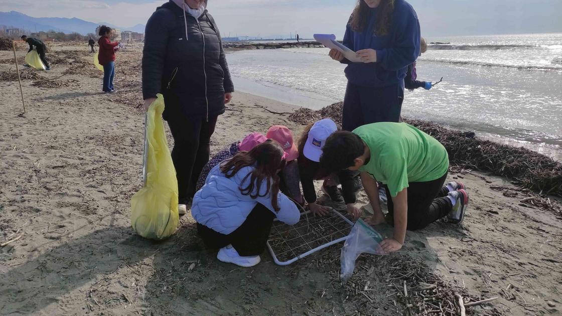 Successo del Bio Blitz. Raccolti 40 chilogrammi di plastica sulla spiaggia