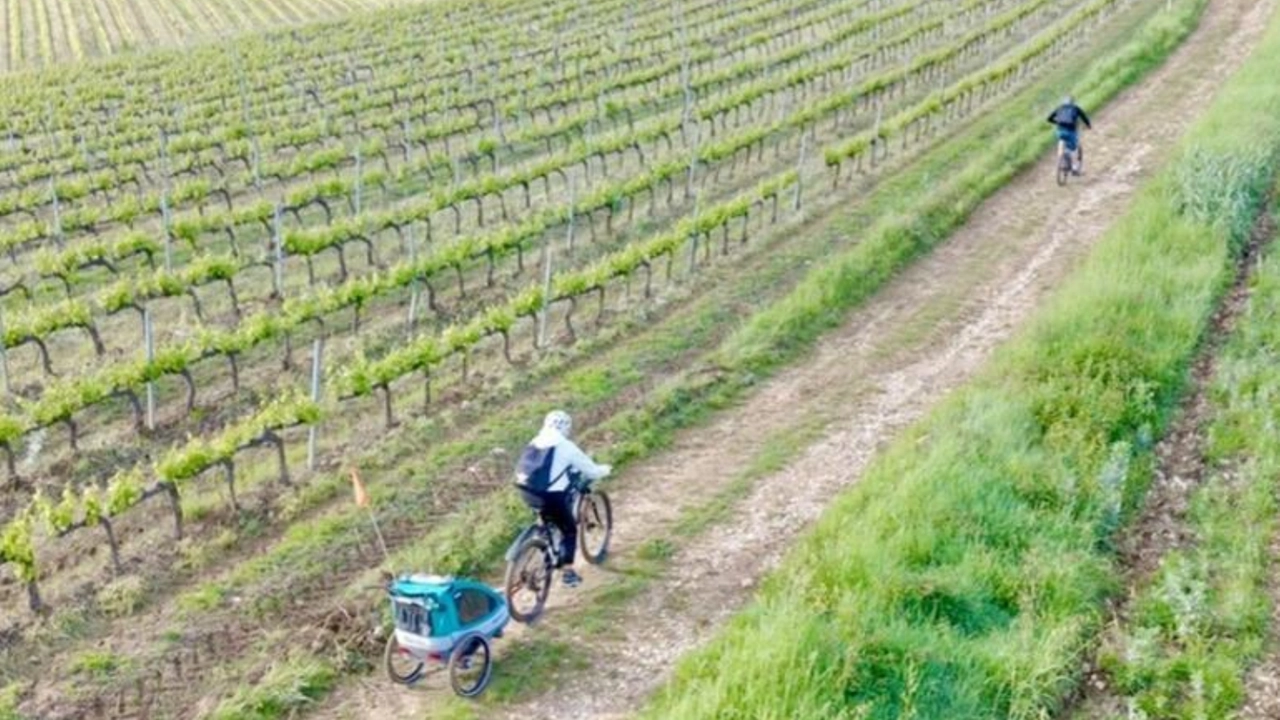 Pedalare tra i vigneti: nasce un nuovo modo di scoprire il Chianti