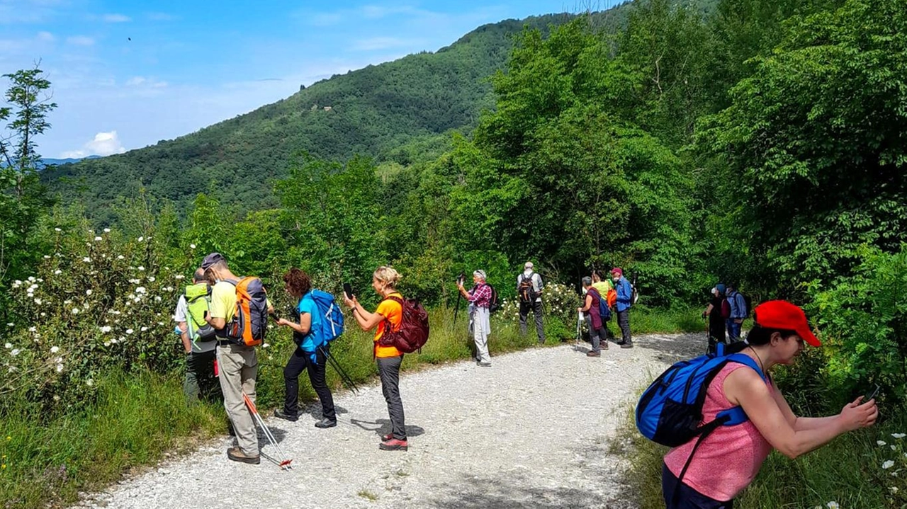 Sono partiti i lavori di valorizzazione del percorso che collega la valle di Sieci.