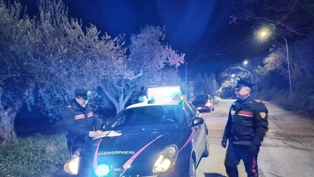 La 25enne è stata arrestata dai carabinieri della stazione di Cenaia che avevano richiesto l’inasprimento della misura cautelare dei domiciliari