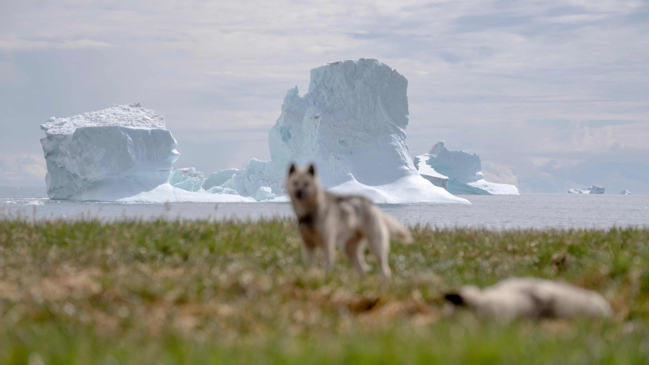 Perché Trump vuole la Groenlandia e cosa c’entra il cambiamento climatico